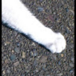 Meet your Posher, Sumting